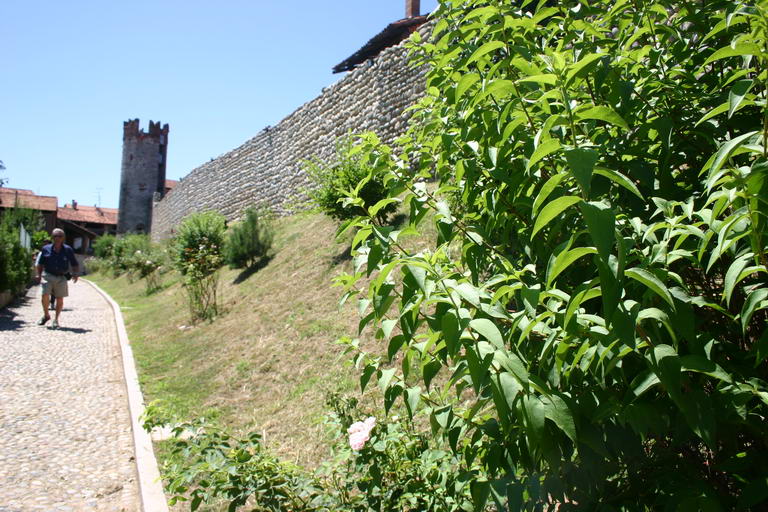 IMG 3448